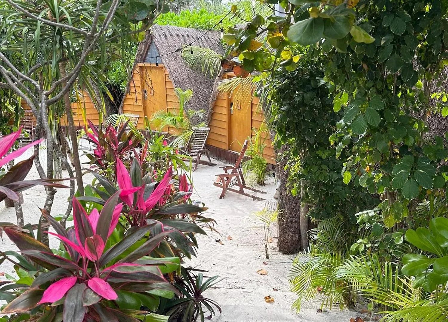 Mia Tulum Resort Meksyk